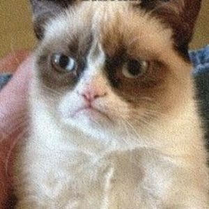 Meet your Posher, Dave